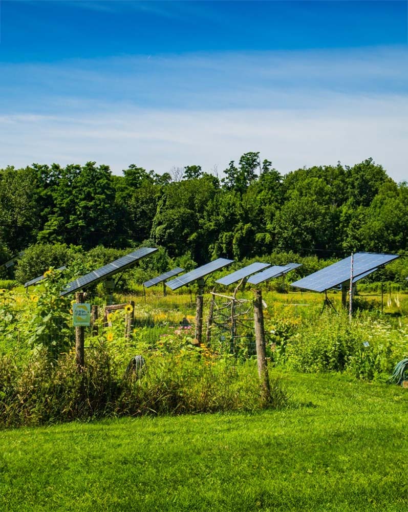 The is an example of ground mounted solar panels, showing how the integration of renewable energy for farms has emerged as a game-changing strategy.