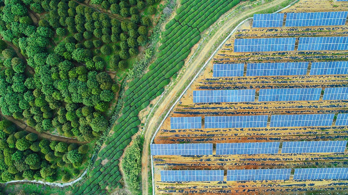 Aerial contrast between active farmland and a cleared solar field, showing the challenge of balancing renewable energy with agricultural land use.