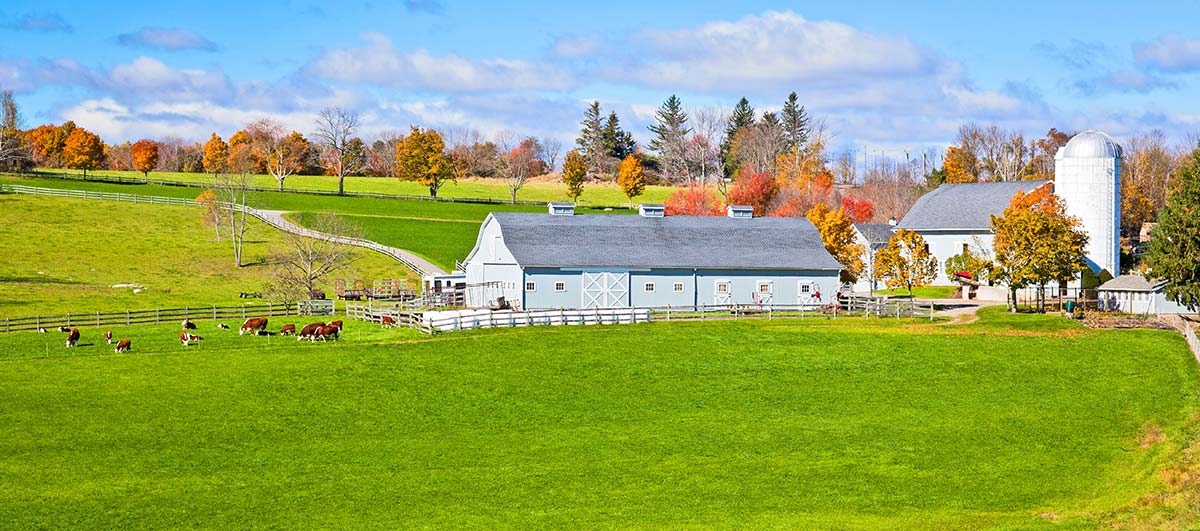 Western Massachusetts farm landscape representing how agrivoltaics supports rural agriculture and renewable energy across New England.