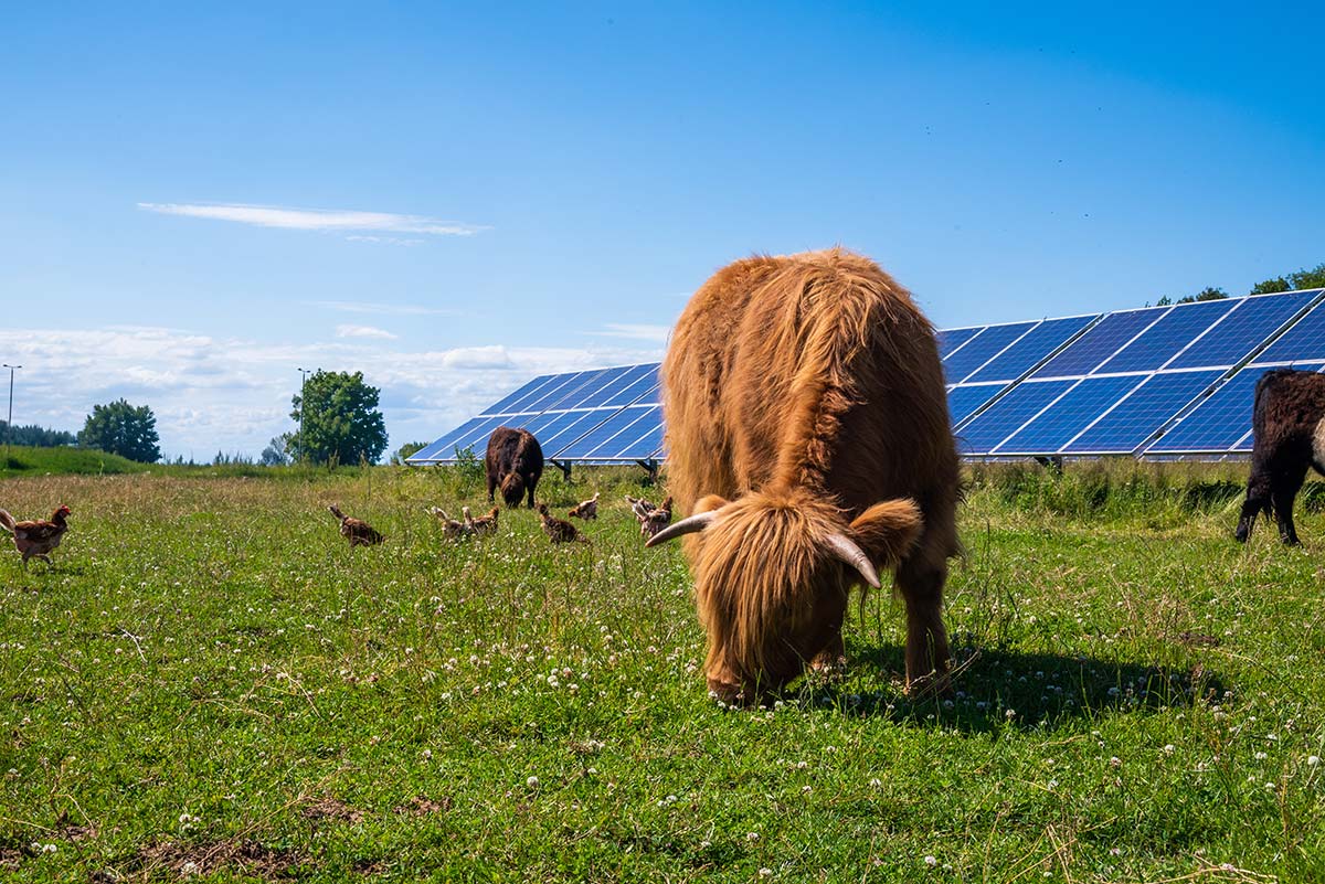 Solar Power for Agriculture near Warwick
