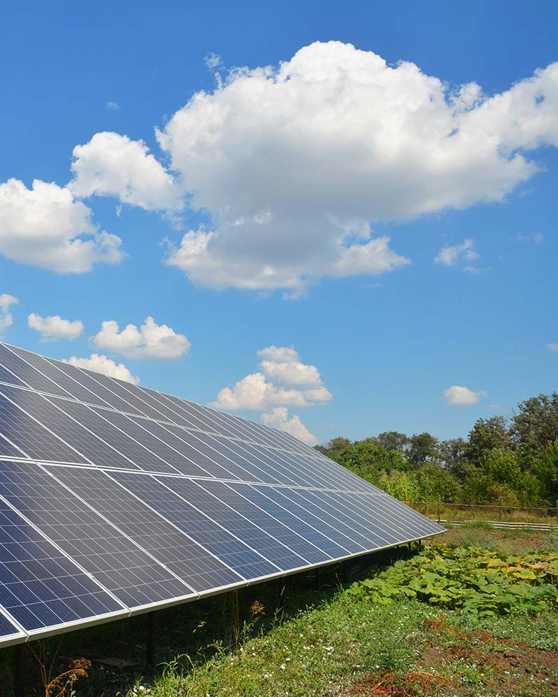 Ground-mounted solar array in a green field with blue sky, an example of residential solar available in Greenfield.