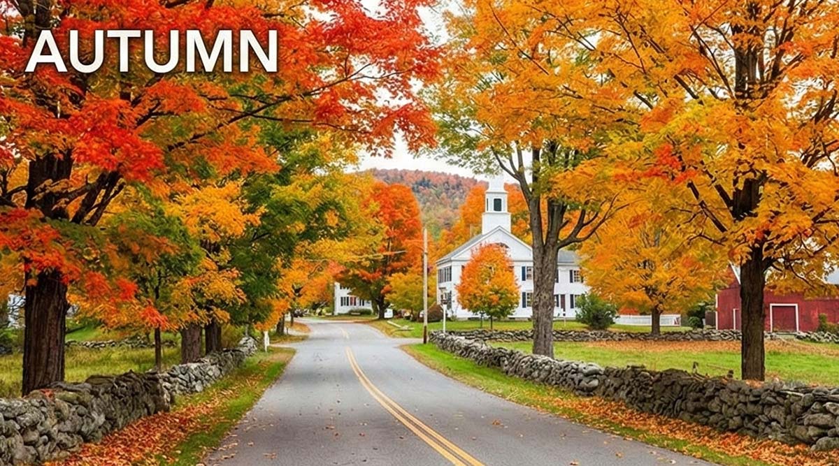 Autumn in New England with a tree-lined country road, stone walls, and bright fall foliage