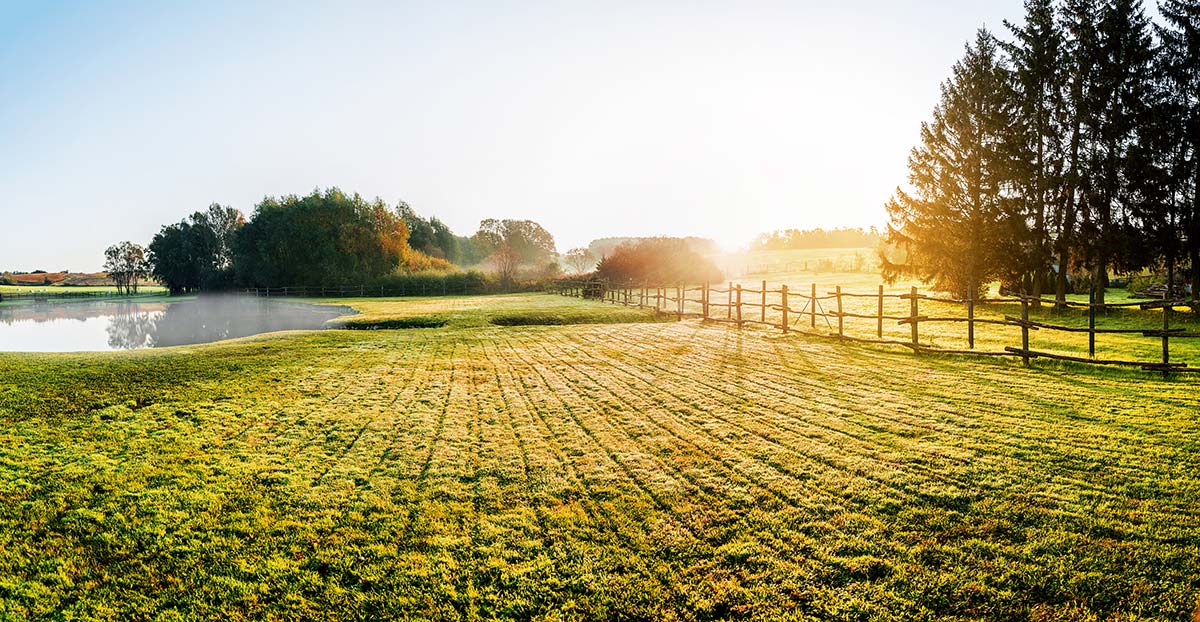 Solar Power for Agriculture in Pelham
