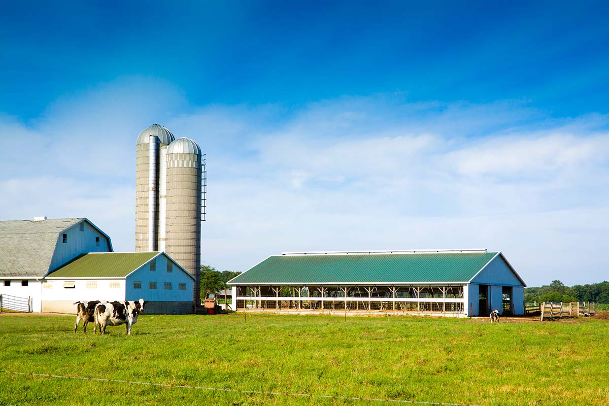 Solar Power for Agriculture in Conway