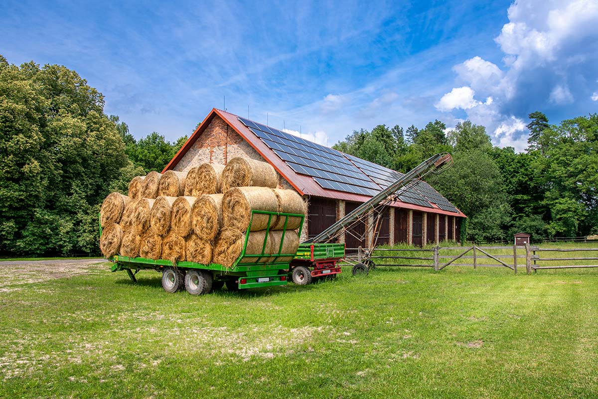 Solar Power for Agriculture Near Northampton