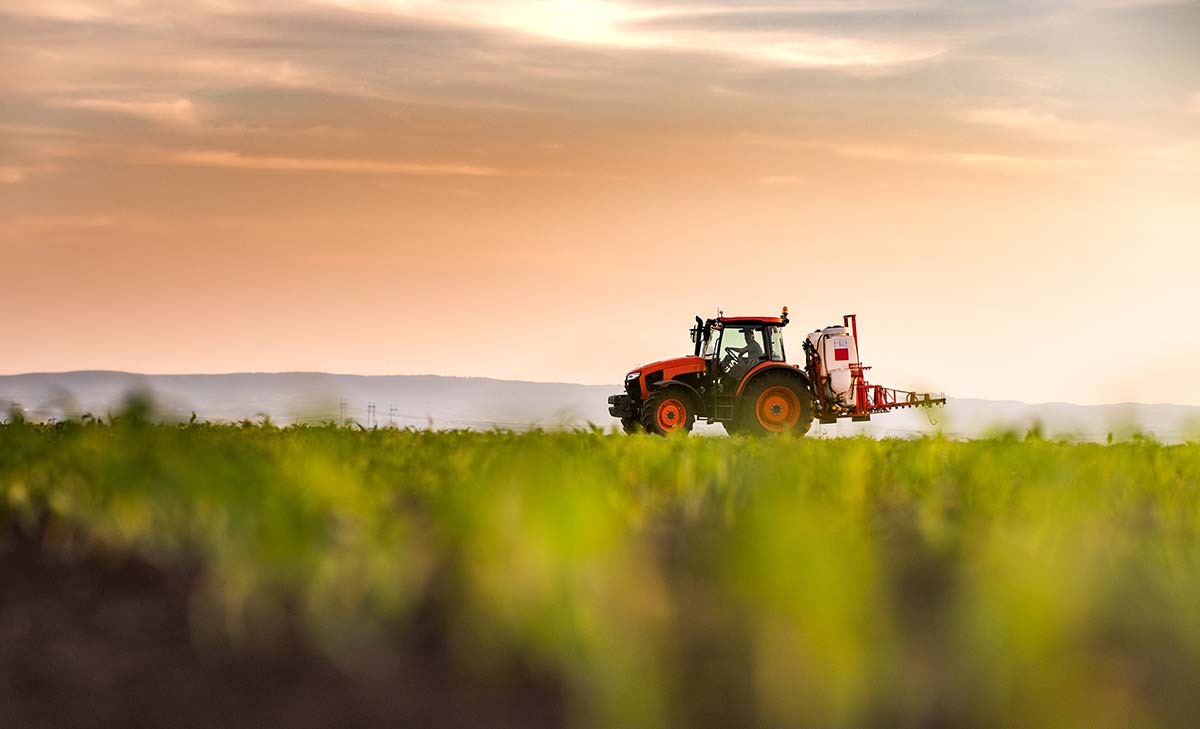 Solar Power for Agriculture in Goshen