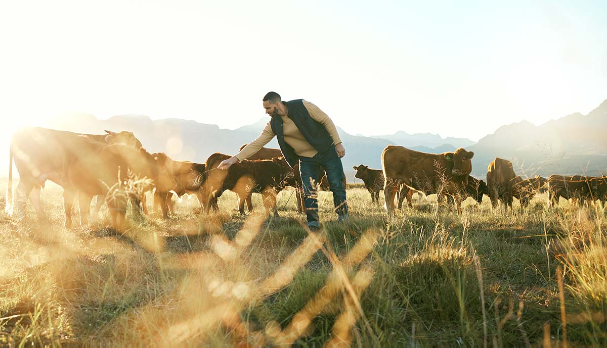 Solar Power for Agriculture in Deerfield